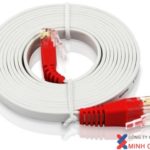 Cáp UTP Cat 5e (5m) Unitek (Y-C 803) (Dây Dẹp)