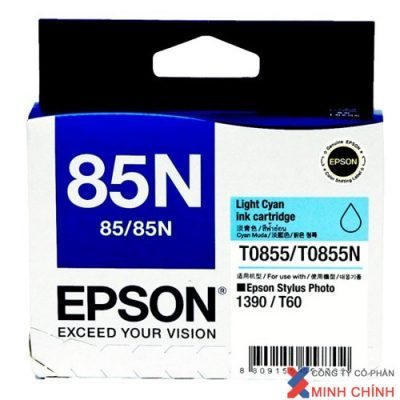 Mực máy in C13T122500