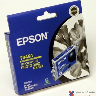 MỰC IN EPSON - C13T049290