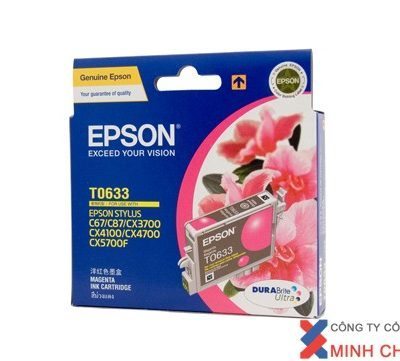 MỰC IN EPSON - C13T673300