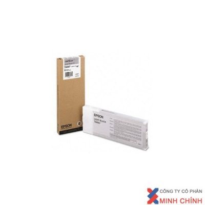 MỰC IN EPSON - C13T606700