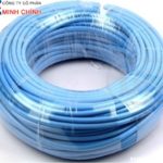 CÁP UTP CAT 5 – 30M UNITEK (Y-C817BL)