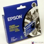 MỰC IN EPSON – C13T049290