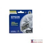 MỰC IN EPSON – C13T059790