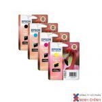 MỰC IN EPSON – C13T087